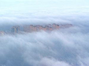 ОБЩЕСТВО