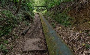 Счетная палата предложила повысить плату за пользование водными ресурсами ЭКОНОМИКА