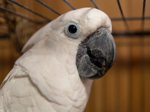 НАУКА