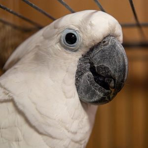 НАУКА