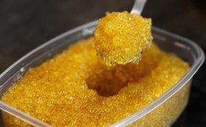 Продажи щучьей икры выросли в семь раз при снижении улова щуки БИЗНЕС