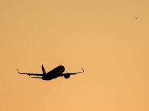 В аэропортах сразу четырех городов России ввели ограничения на полеты ОБЩЕСТВО